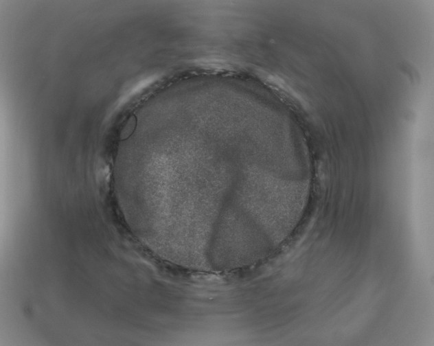 X0000113281302200910130957