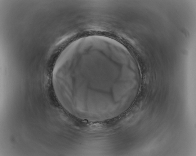 X0000113281303200910130957