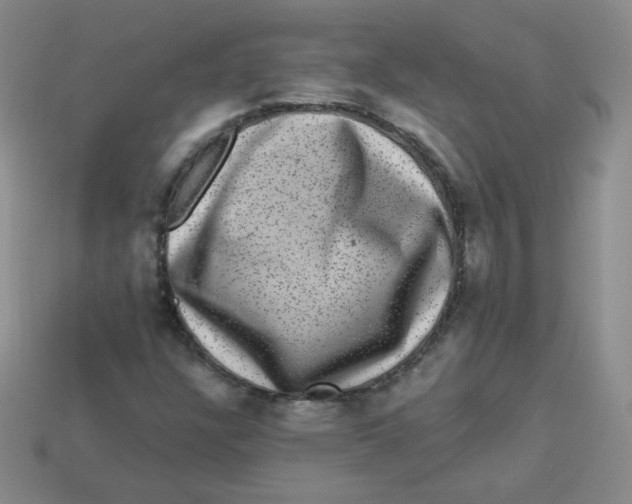 X0000113281304200910130957