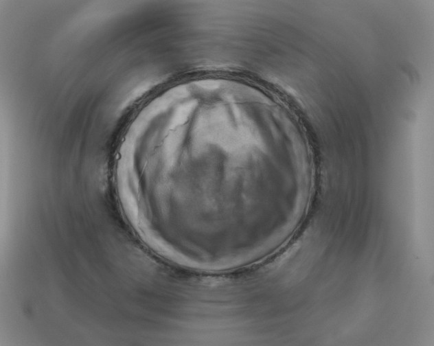 X0000113281306200910130957