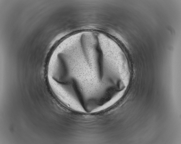 X0000113281308200910130957