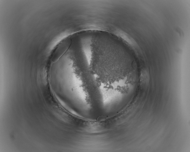 X0000113281310200910130957