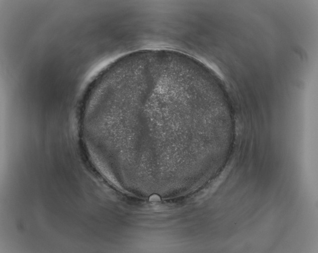 X0000113281311200910130957