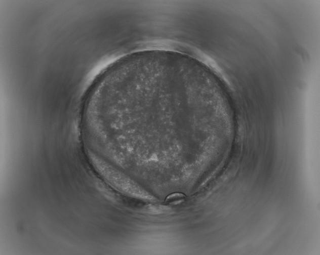 X0000113281312200910130957