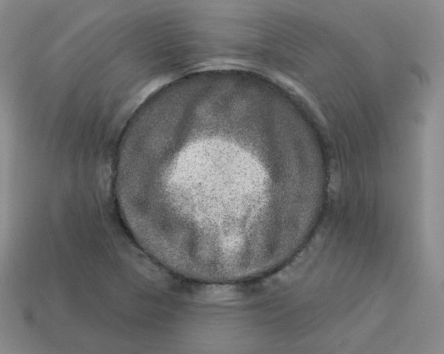 X0000113281313200910130957