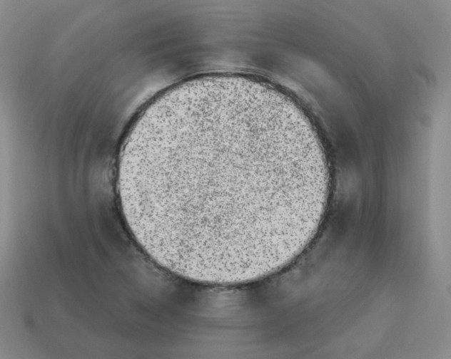 X0000113281314200910130957