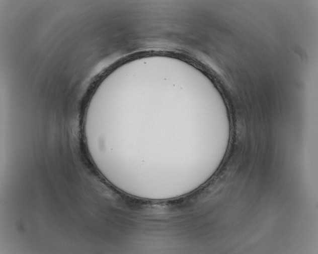 X0000113281315200910130957