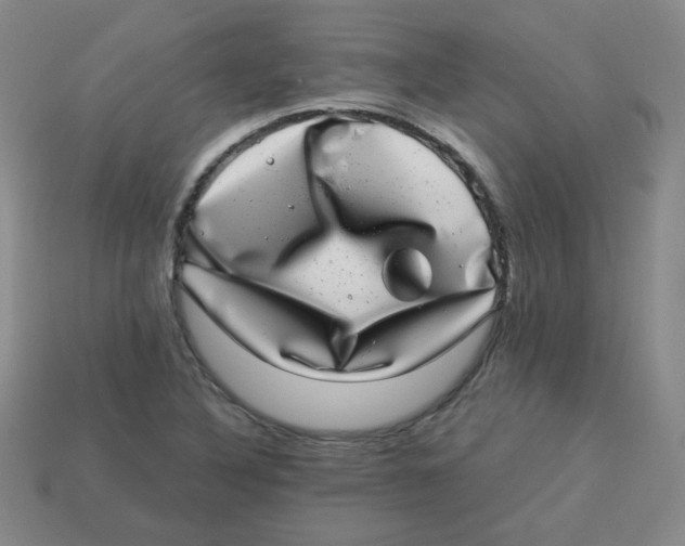 X0000113281316200910130957