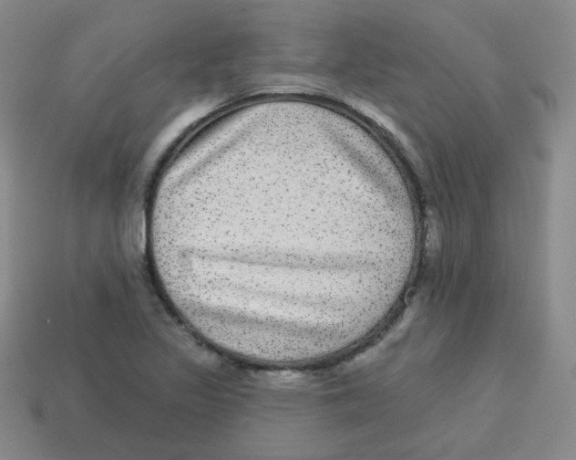 X0000113281317200910130957