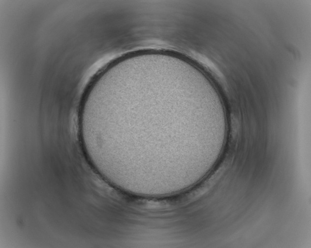 X0000113281318200910130957