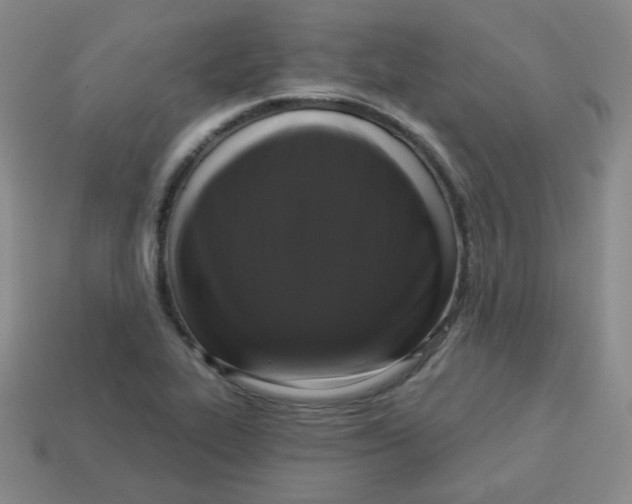 X0000113281319200910130957