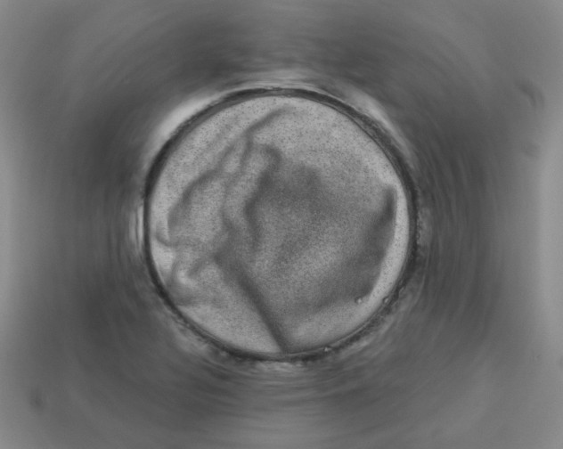 X0000113281320200910130957