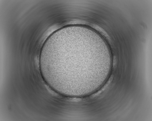 X0000113281321200910130957