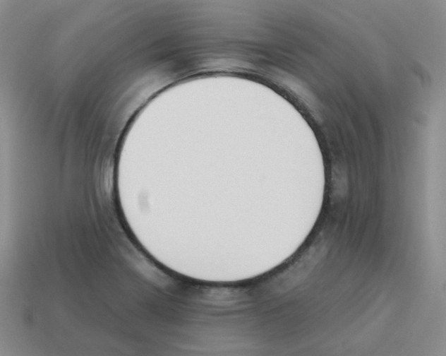 X0000113281322200910130957