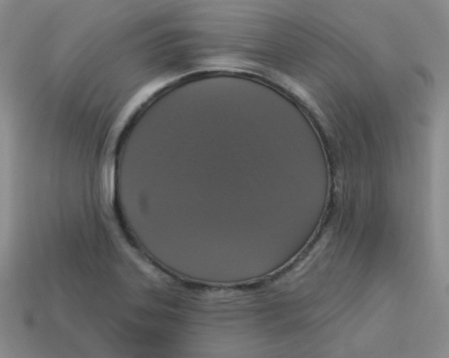 X0000113281323200910130957