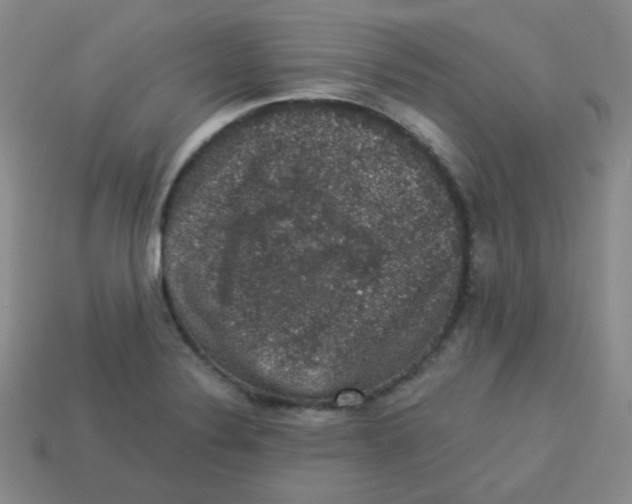 X0000113281324200910130957