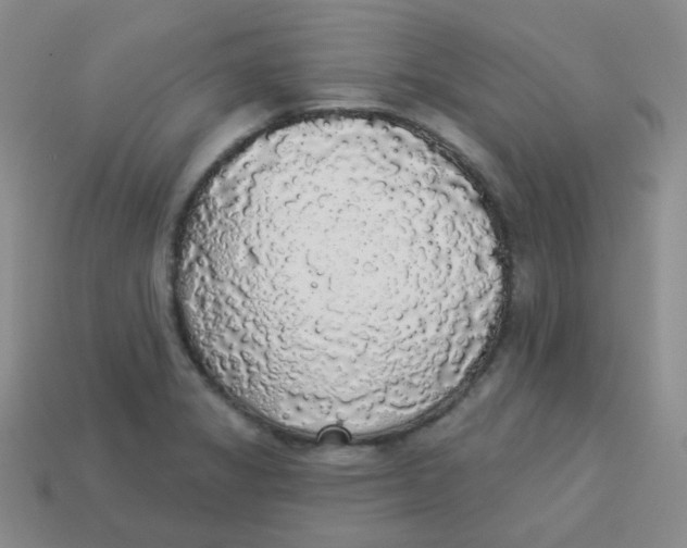 X0000113281325200910130957