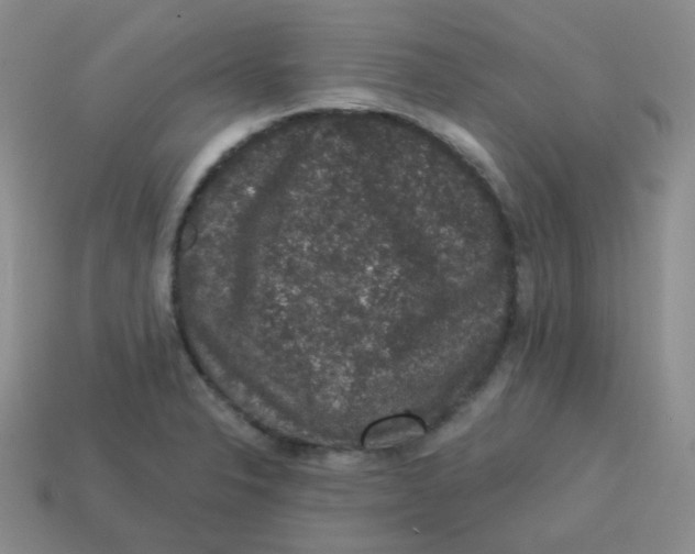 X0000113281326200910130957