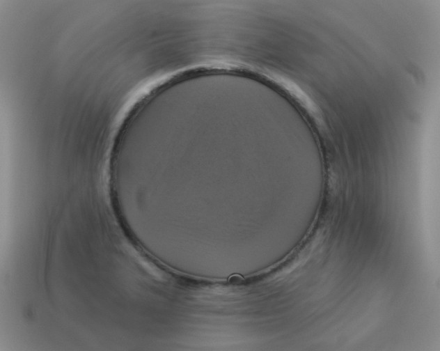 X0000113281327200910130957