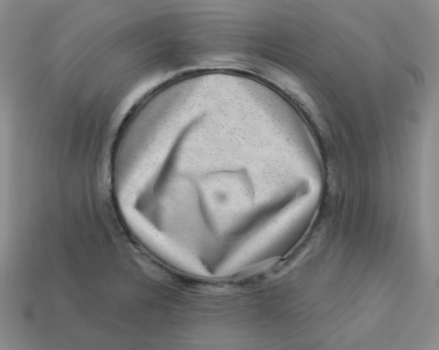 X0000113281328200910130957