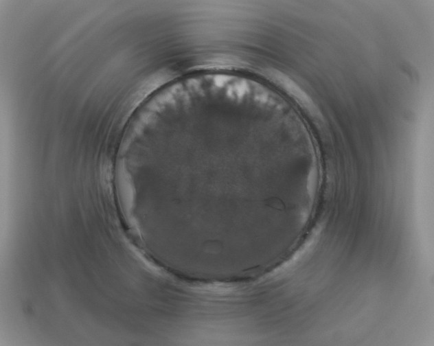 X0000113281329200910130957