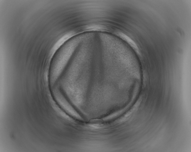 X0000113281330200910130957