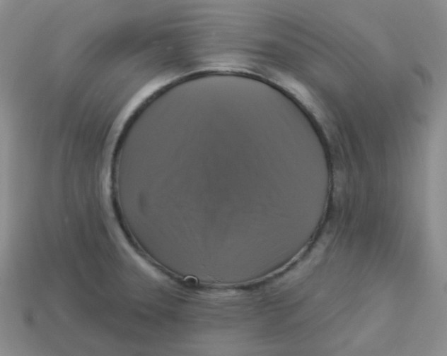 X0000113281331200910130957