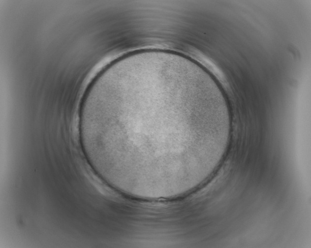 X0000113281332200910130957