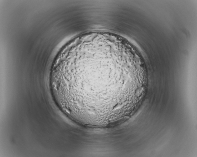 X0000113281333200910130957