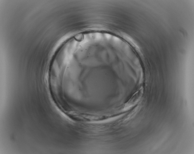 X0000113281334200910130957