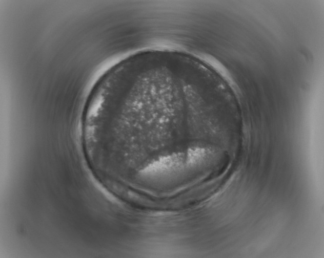 X0000113281335200910130957