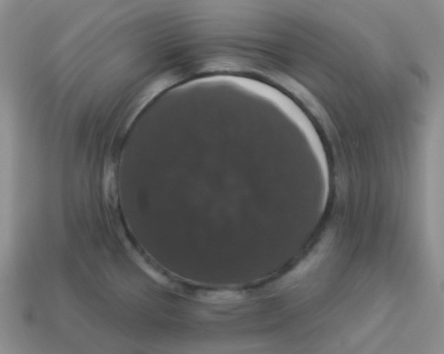 X0000113281337200910130957