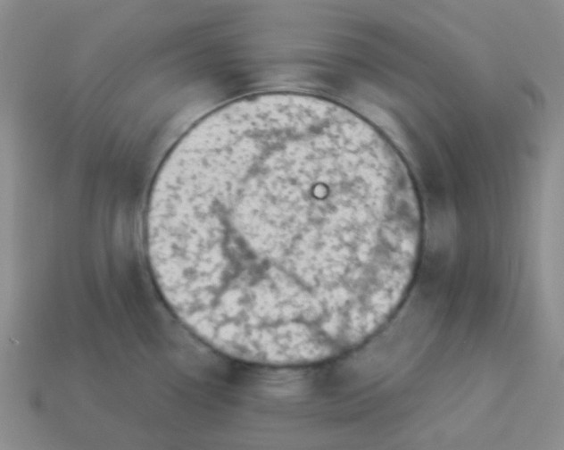 X0000113281338200910130957