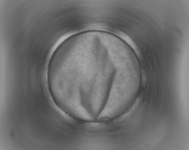 X0000113281339200910130957