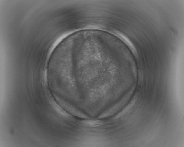 X0000113281340200910130957