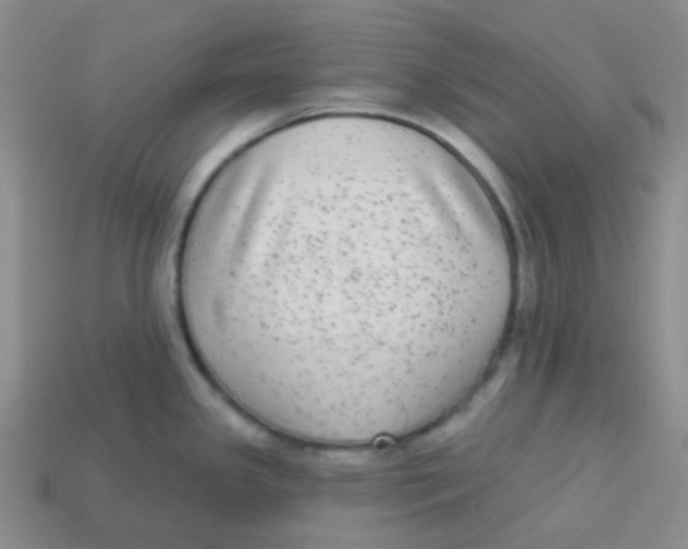 X0000113281341200910130957