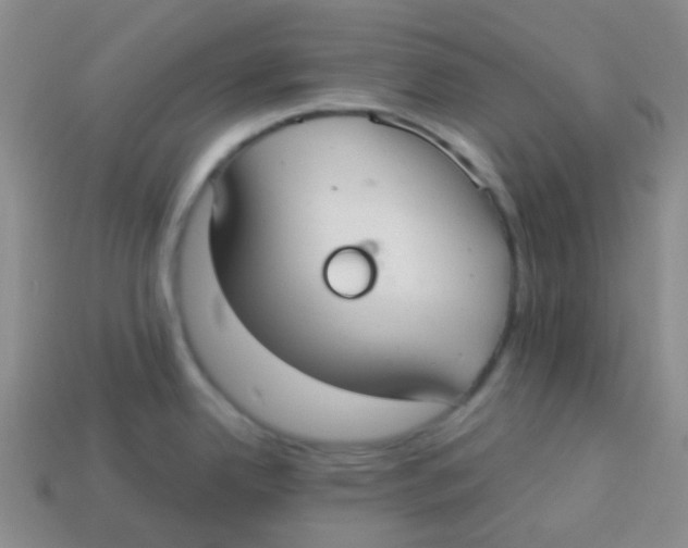 X0000113281342200910130957