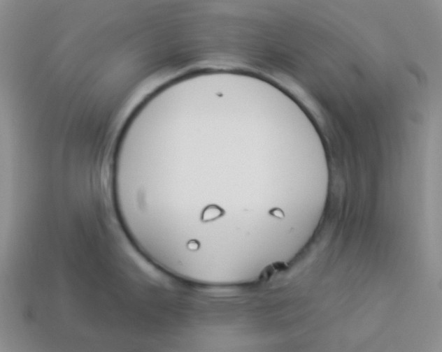 X0000113281343200910130957