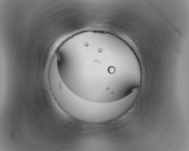 X0000113281344200910130957