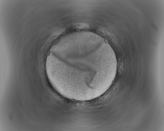 X0000113281345200910130957