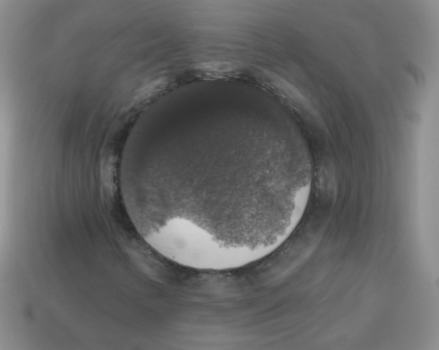 X0000113281346200910130957