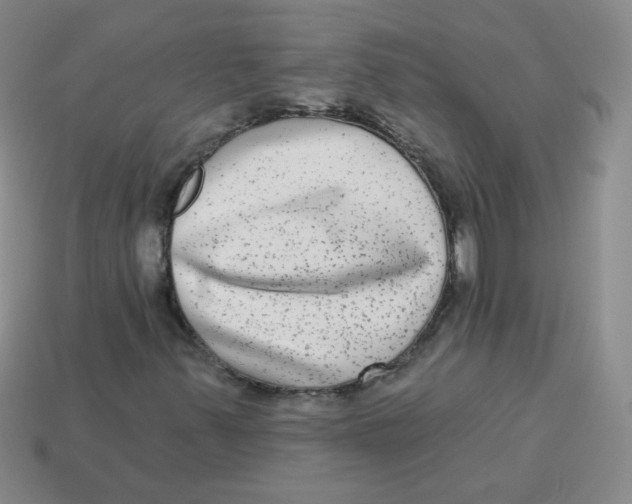 X0000113281347200910130957