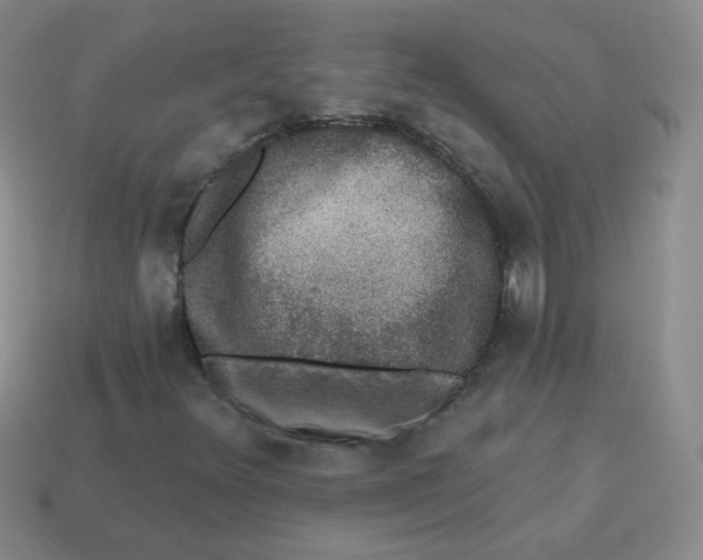 X0000113281348200910130957