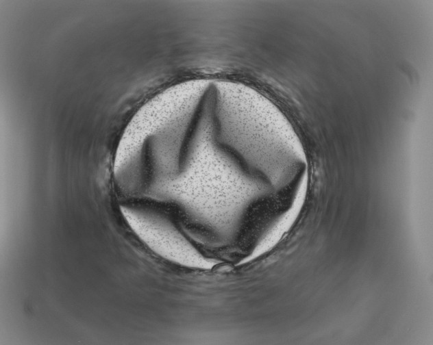 X0000113281349200910130957