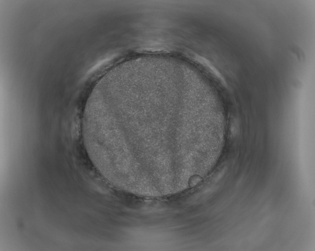 X0000113281350200910130957