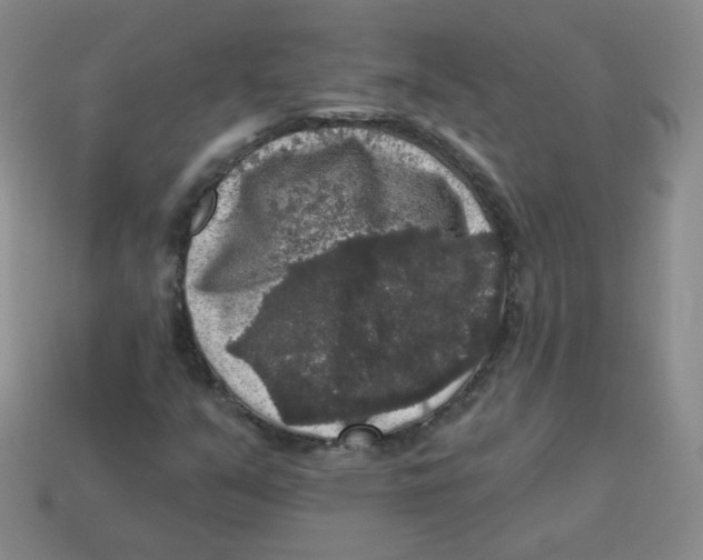 X0000113281351200910130957