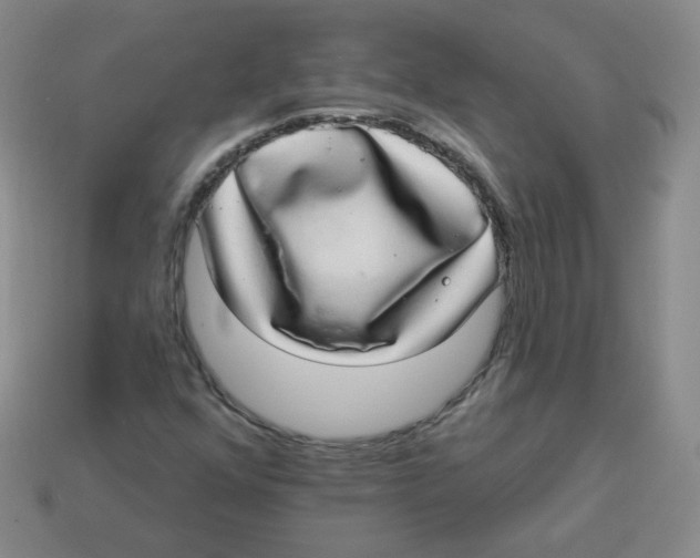 X0000113281352200910130957