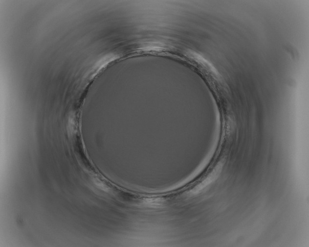 X0000113281353200910130957