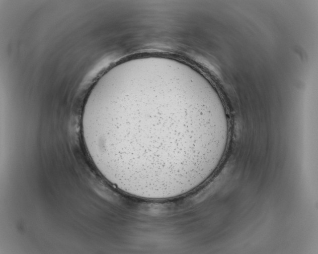 X0000113281355200910130957