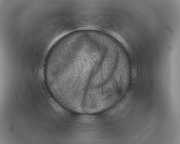 X0000113281356200910130957